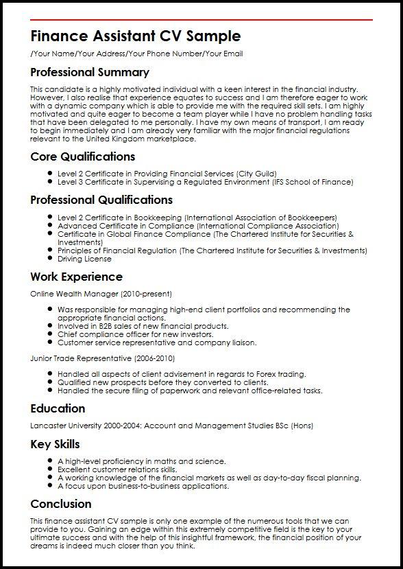 Contoh Curriculum Vitae In English