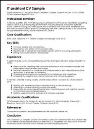 IT Assistant CV Sample MyPerfectCV