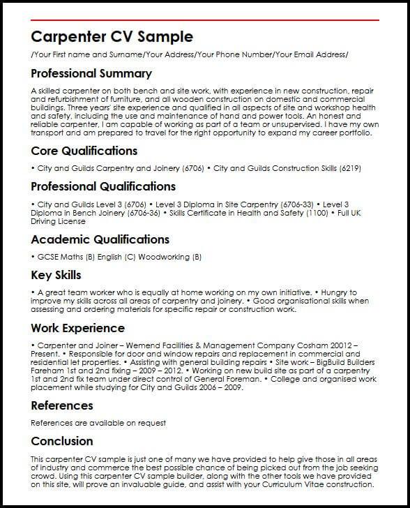 resume curriculum vitae help india