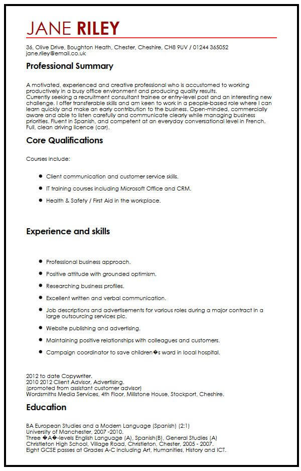 cv example with transferable skills