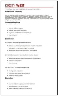 Beispiel Cv Europass