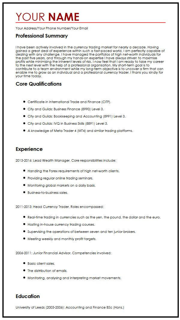 Professional CV Template - myPerfectCV