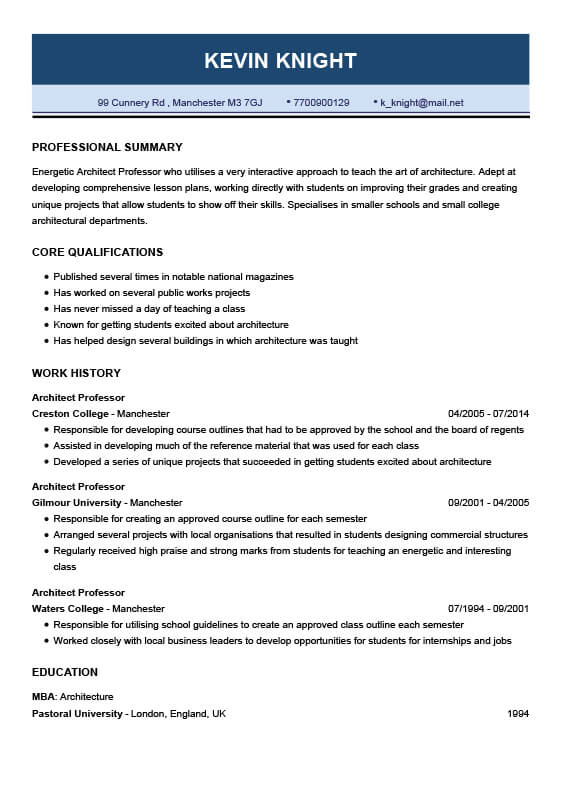 professional cv example