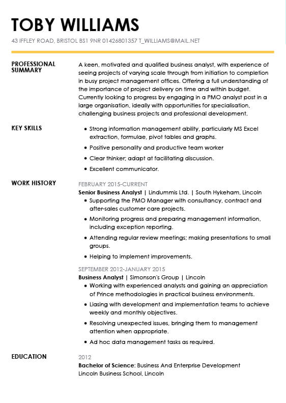 cv examples cv samples myperfectcv cv cv