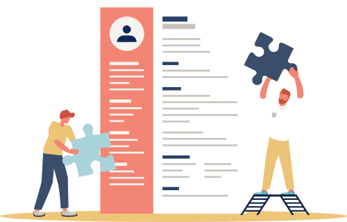 cv background colour example