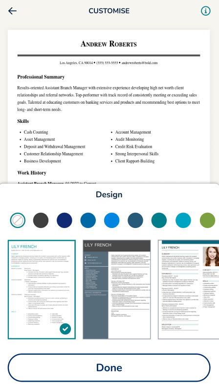 My Perfect CV mobile design customisation